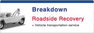 Breakdown Recovery Service